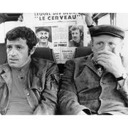 Affiche Le Cerveau - Belmondo Bourvil - Dimension 24x30 cm